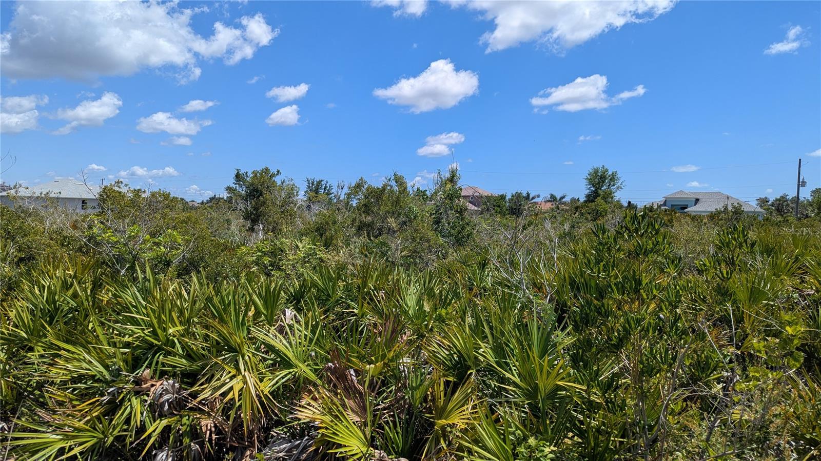 Land in PORT CHARLOTTE 3