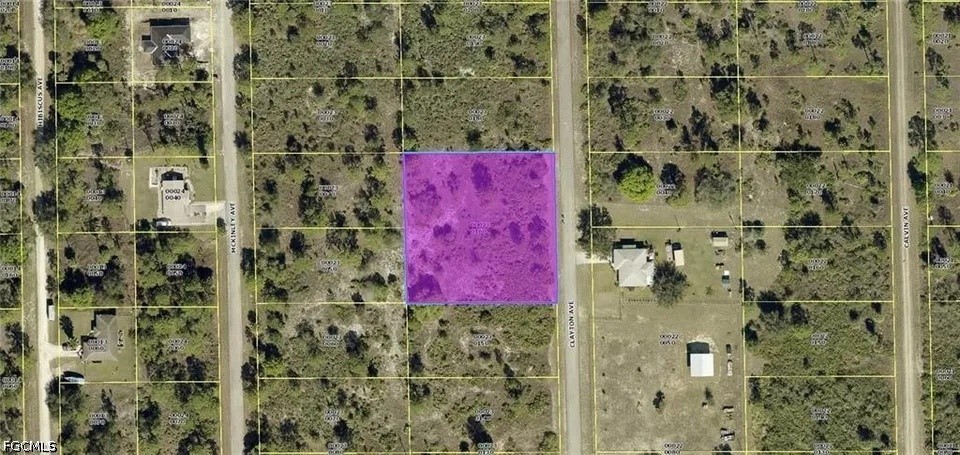 Land in Lehigh Acres 2