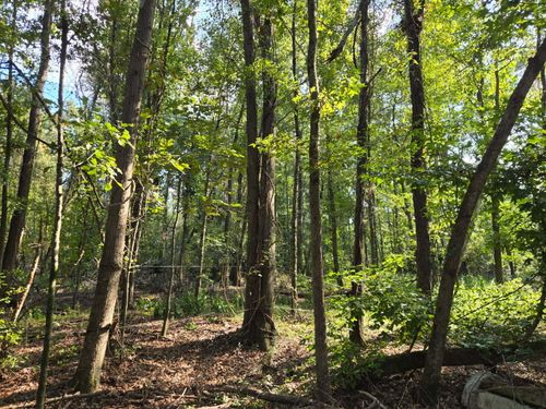 Lot A Atomic Rd, Beech Island, SC, 29842 | Card Image