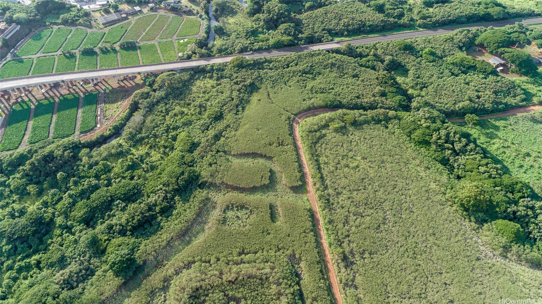 Land in Haleiwa 5