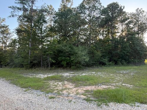 1.3 Ac 3rd St, Leakesville, MS, 39451 | Card Image
