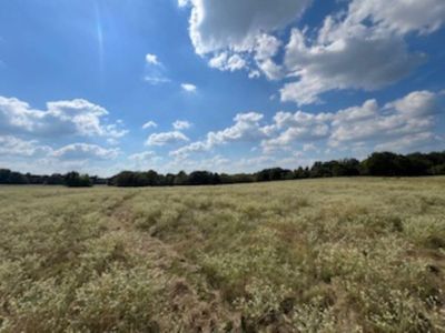 View of landscape with a rural view | Image 1