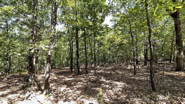 492 Deer Creek Rd, Home with 0 bedrooms, 0 bathrooms and null parking in Kansas OK | Image 7
