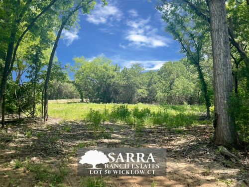Lot 50 Wicklow Ct, Poolville, TX, 76487 | Card Image