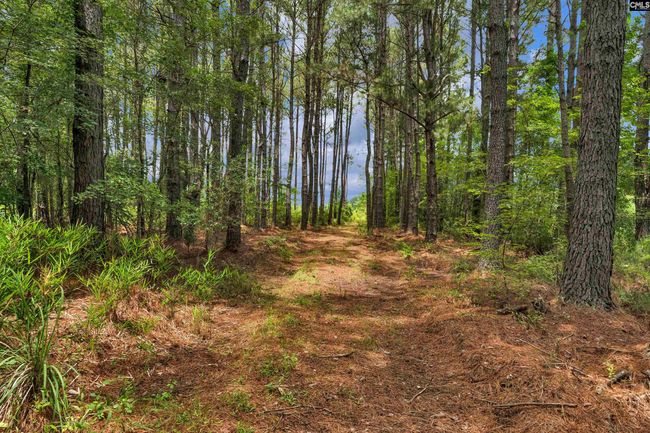 0000 N Brewington Rd, Home with 0 bedrooms, 0 bathrooms and null parking in Manning SC | Image 53