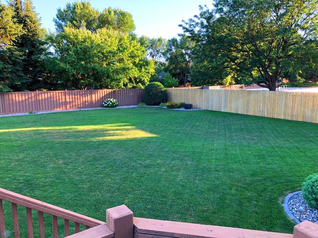 Backyard | Image 8