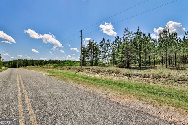 0 Kemp Rd, Home with 0 bedrooms, 0 bathrooms and null parking in Buena Vista GA | Image 25