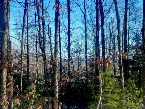 0 Tower Mountain Rd, Jewett, NY, 12444 | Card Image