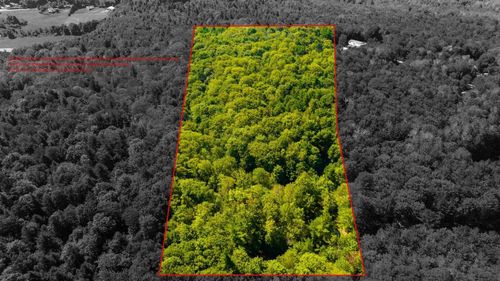 56 Belles Hollow Dr, Newfield, NY, 14867-9502 | Card Image