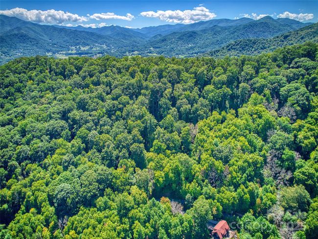 00 Yellow Locust Dr, Home with 0 bedrooms, 0 bathrooms and null parking in Waynesville NC | Image 13