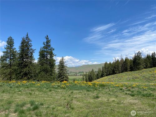 102 Elbow Canyon Rd, Twisp, WA, 98856-9848 | Card Image