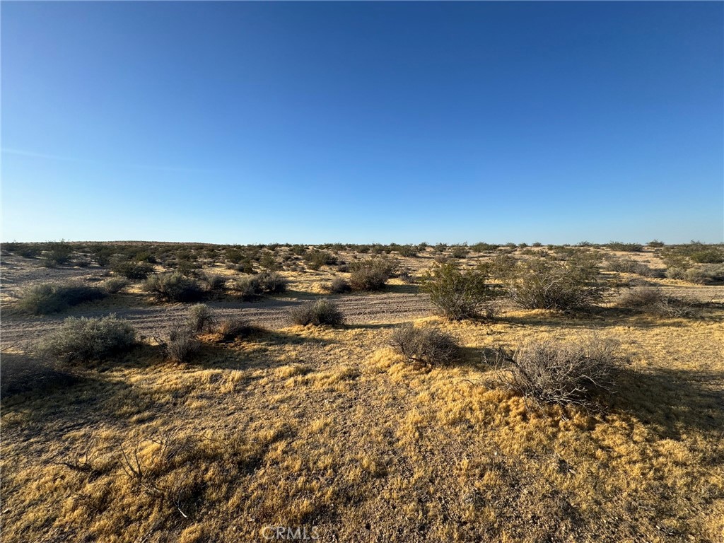 Land in Helendale 4