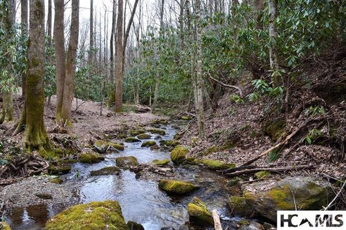 117 Speckled Feather Pass, Sapphire, NC, 28774 | Card Image