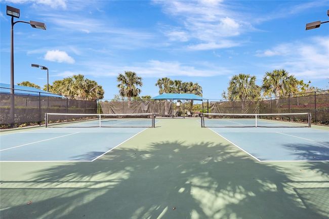 Hammock Preserve Tennis and pickleball | Image 44