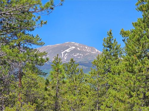 445 Mt Massive Rd, Twin Lakes, CO, 81251 | Card Image