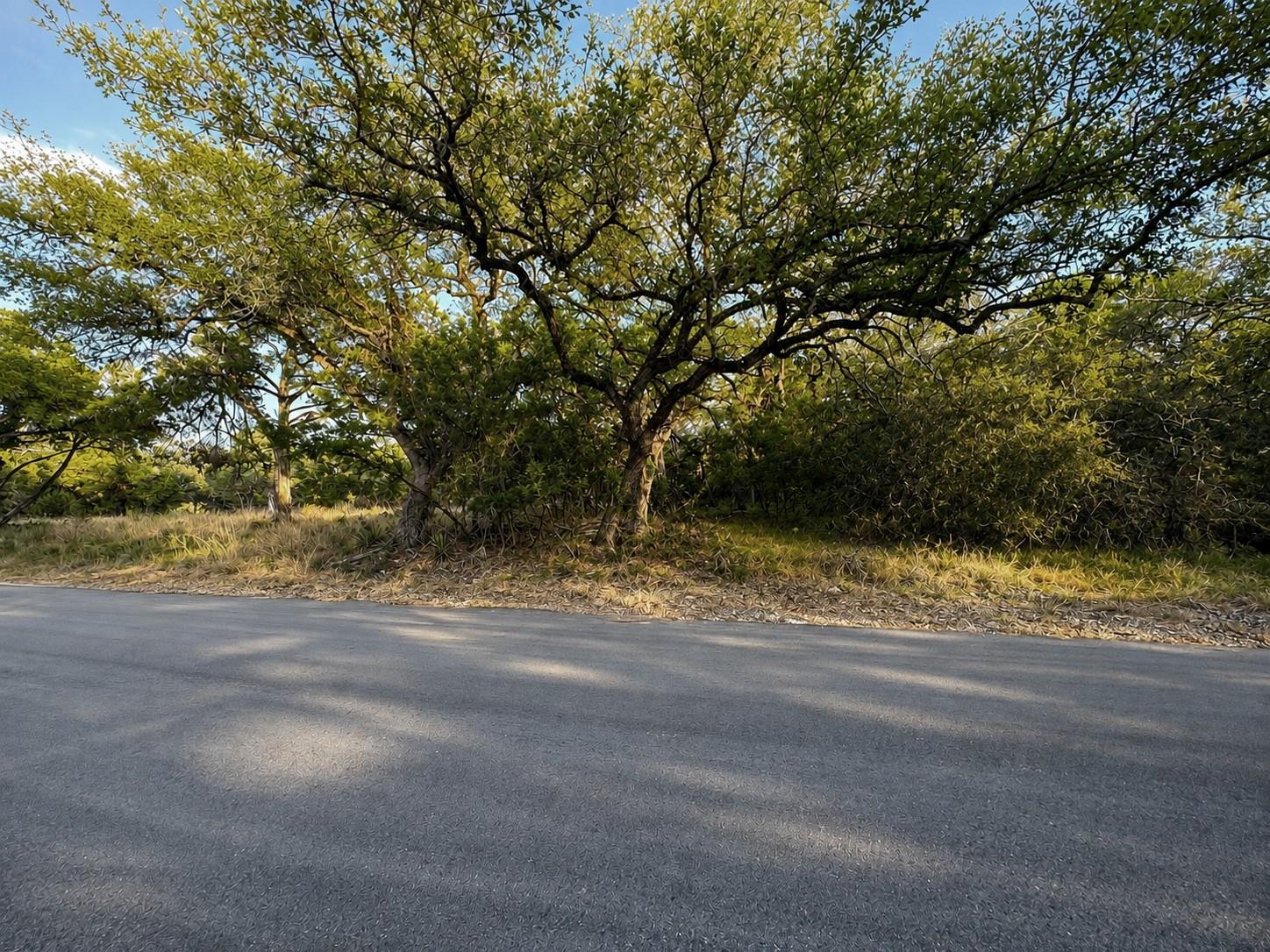 Land in Lago Vista 5