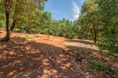 171 Conner Creek Rd, Junction City, CA, 96048-9790 | Card Image