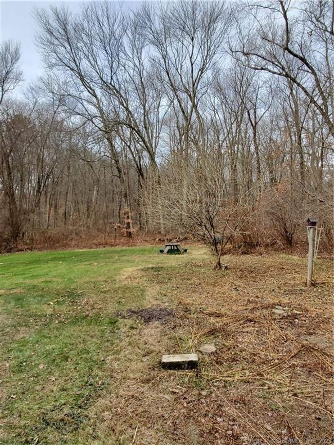 Back yard | Image 10
