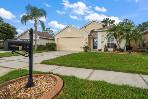 3137 Banyan Hill Ln, LAND O LAKES, FL, 34639-6747 | Card Image