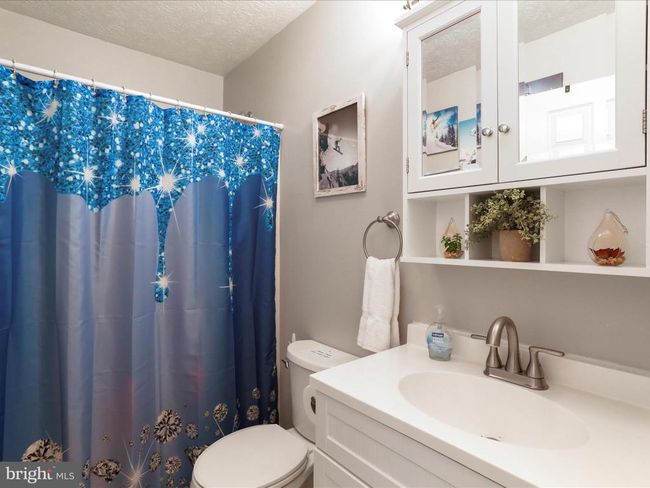 317 Locustdale Loop, House other with 3 bedrooms, 3 bathrooms and null parking in SHENANDOAH VA | Image 19