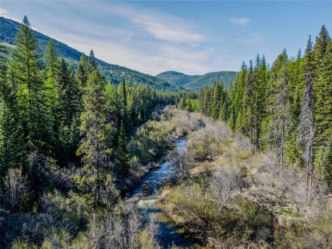 View of mountain backdrop featuring a forest | Image 56