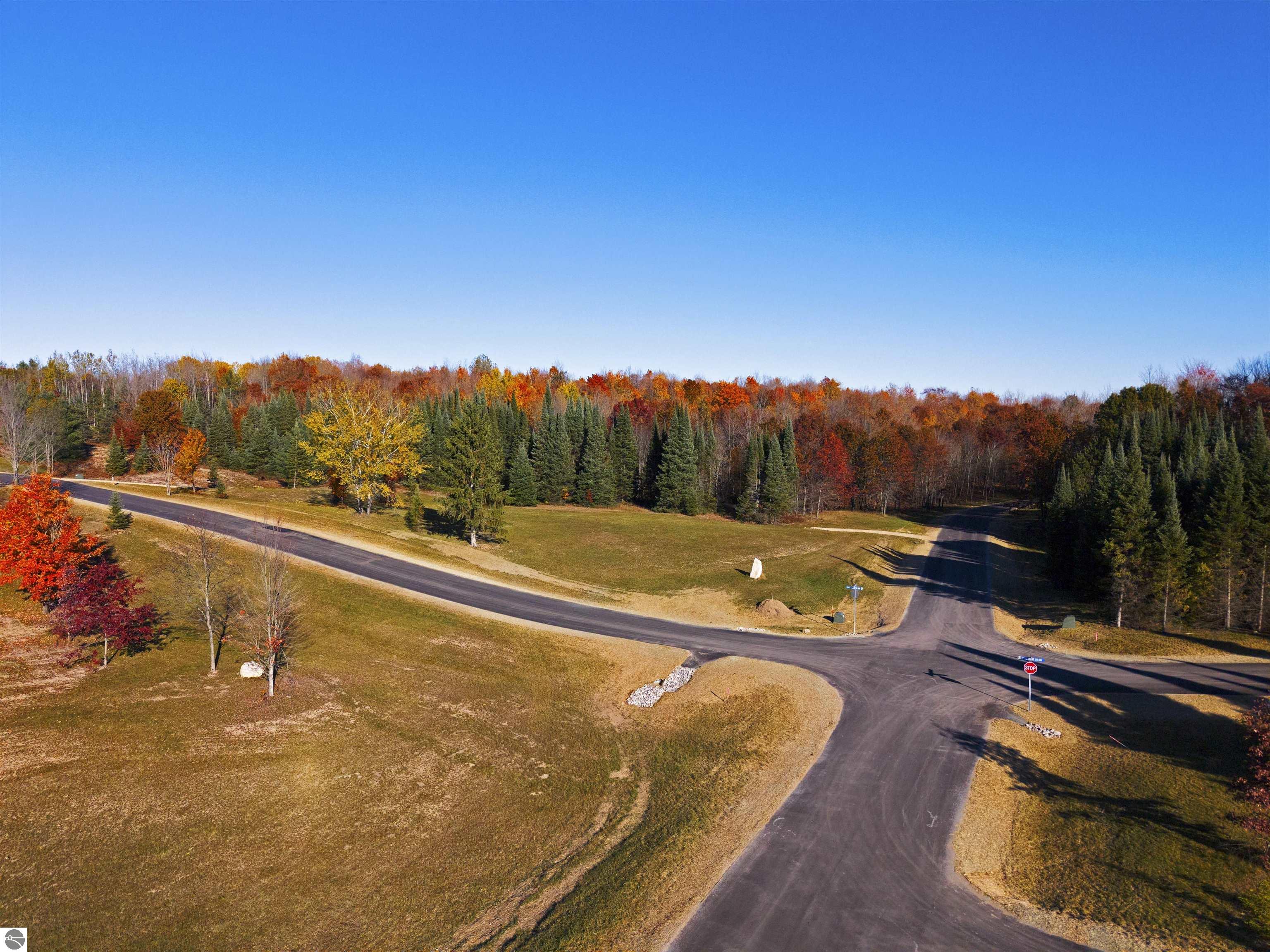 10598 Pine Ridge Dr Sw, For Sale in Fife Lake - eXp Realty