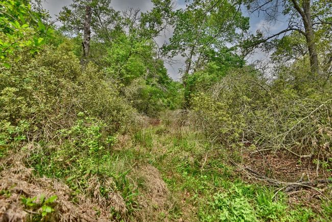 View of landscape | Image 26