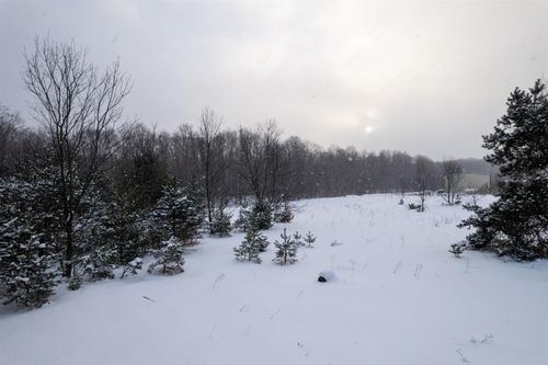V/L Paradise Ridge Trail, Almira Township, MI, 49684 | Card Image