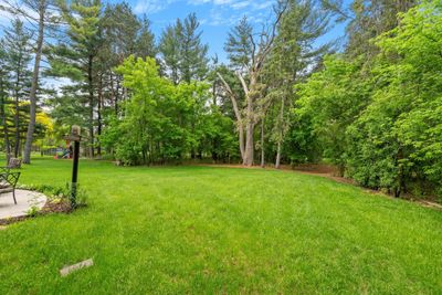 Gorgeous .98 Acre wooded lot | Image 3