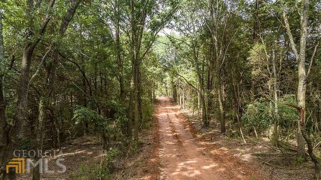 TRACT 2 Coldwater Creek Rd, Home with 0 bedrooms, 0 bathrooms and null parking in Dewy Rose GA | Image 4