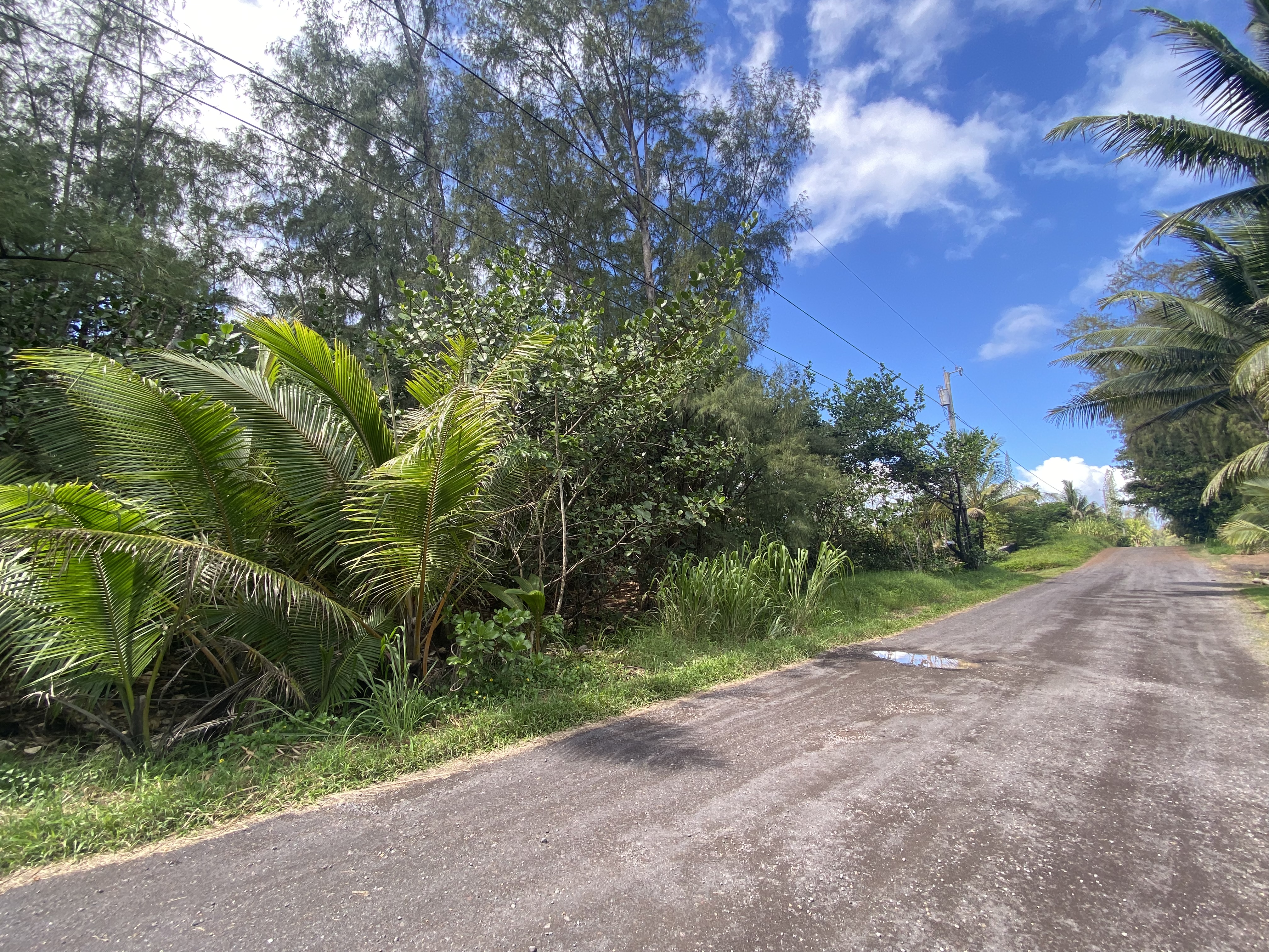 Land in Keaau 3