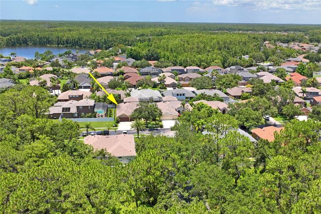 12801 Stanwyck Cir, House other with 4 bedrooms, 3 bathrooms and null parking in TAMPA FL | Image 55