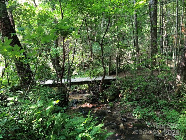 One of the scenic hiking trails within the Buck Mountain Community | Image 38