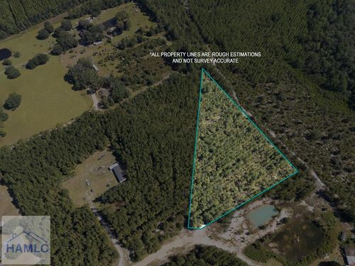 Lot 10 Hilman Dr Se, Ludowici, GA, 31316-5562 | Card Image