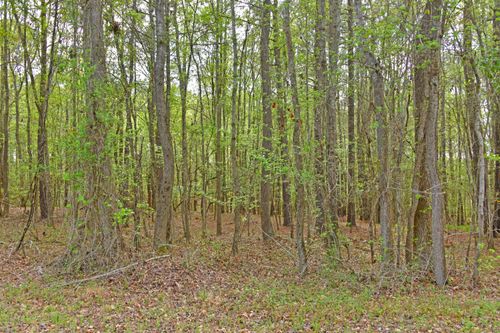 0 Ridgelake Cir, Saint Matthews, SC, 29135 | Card Image