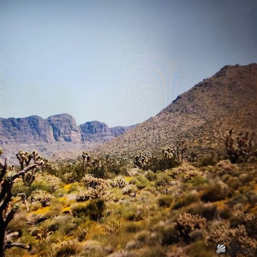 319-05 N Mohave Dr, Dolan Springs, AZ, 86441 | Card Image