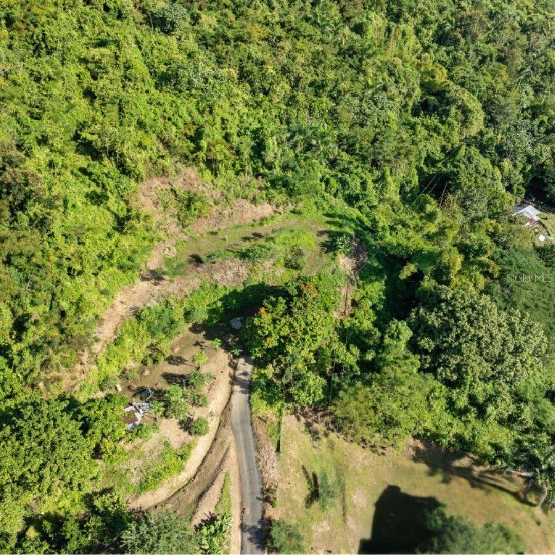 Land en venta en ANASCO, SOLAR 2. BARRIO DAGUEY, URB. SAGRADO CORAZON