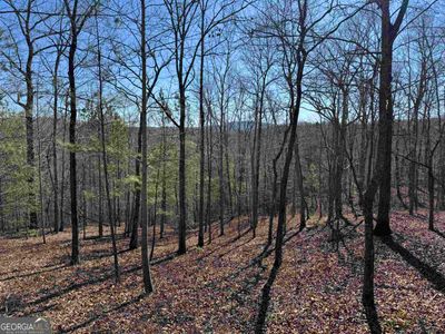 0 Harris Creek Drive Lot #29, Home with 0 bedrooms, 0 bathrooms and null parking in Ellijay GA | Image 2