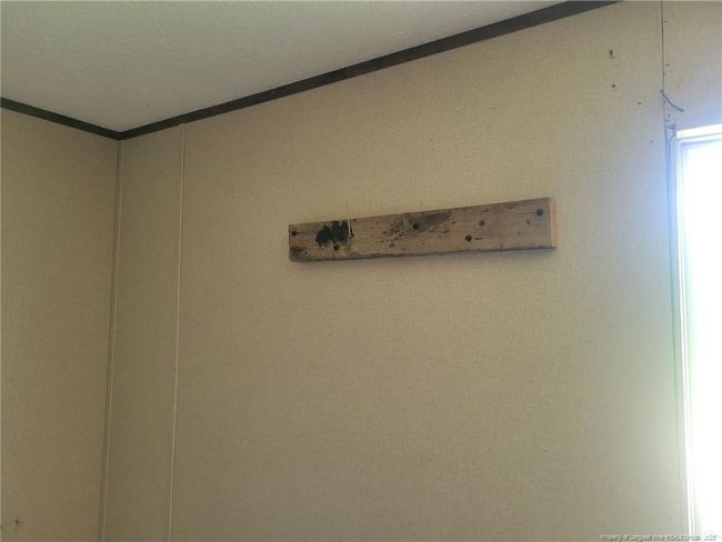 Photo 7 | Image 7