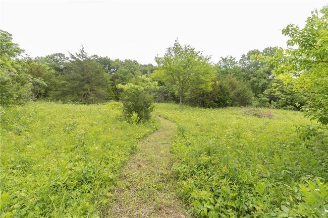 View of tree filled area | Image 22
