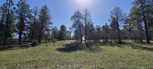 225 Badger Trl S, Ridgway, CO, 81432-8610 | Card Image