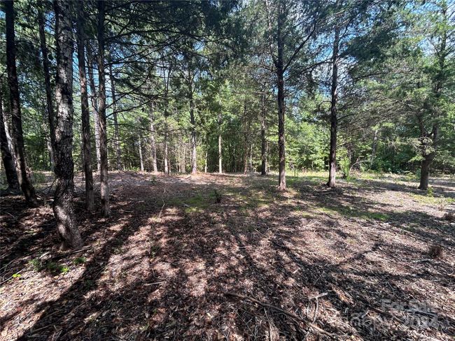5630 Woodsferry Rd, Home with 0 bedrooms, 0 bathrooms and null parking in Carlisle SC | Image 13