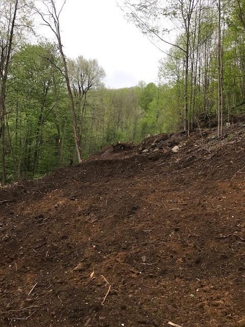 Land in Waynesville 5