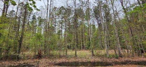 Lot C-1 Jessie Sibley Rd, Walker, LA, 70785 | Card Image
