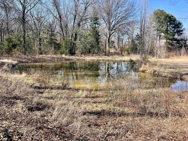 86 Brewer Rd, House other with 1 bedrooms, 2 bathrooms and null parking in Conway AR | Image 21