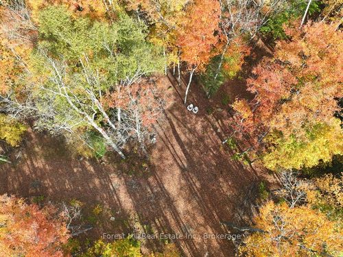 4488 Kawagama Lake Rd, Dorset, ON, P0A1E0 | Card Image