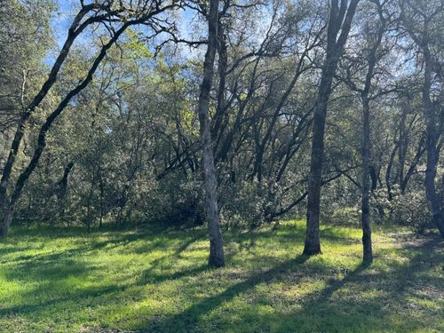 1001 Old Airport Rd, Auburn, CA, 95603-9011 | Card Image