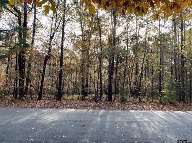 14632 Reserve Ct, Home with 0 bedrooms, 0 bathrooms and null parking in Tyler TX | Image 11