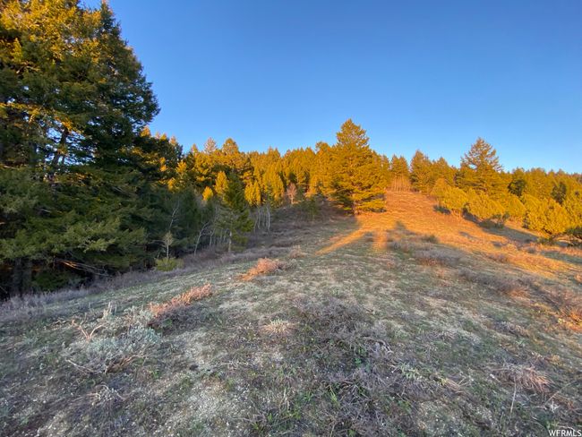 View of nature | Image 33