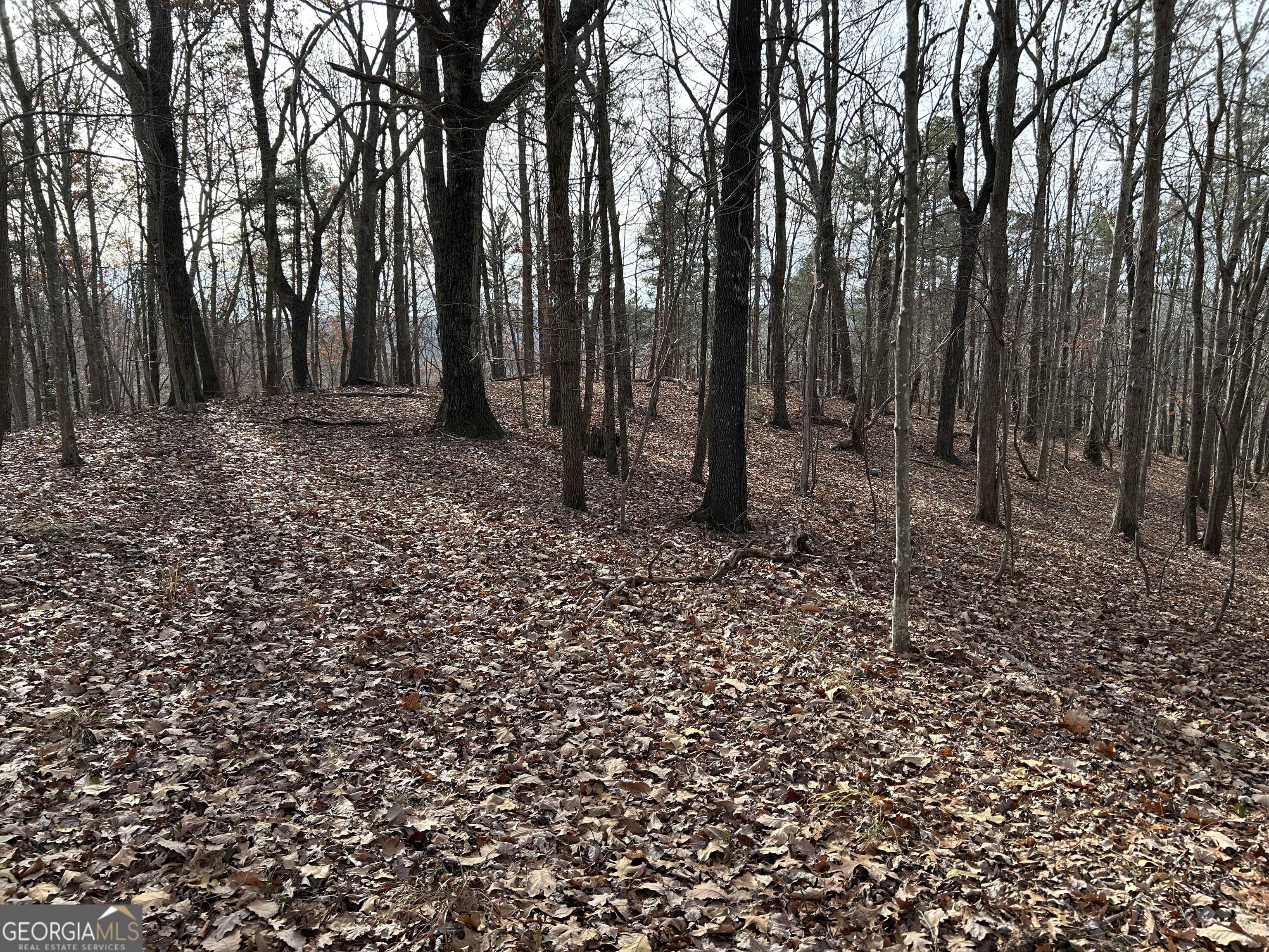 Land in Baldwin 4